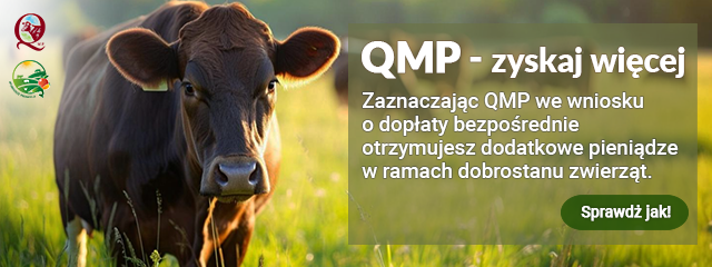 QMP QMP