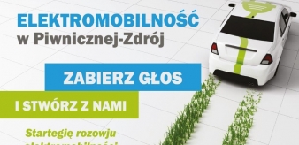 Strategia Rozwoju Elektromobilności dla Miasta i Gminy Piwniczna-Zdrój