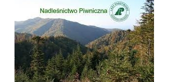 Nadleśnictwo Piwniczna: Harmonogram pracy w terenie w dniach 05-28.01.2021 r.