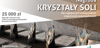 Nagroda Kryształy Soli - 25 tysięcy dla Lidera Pozarządowej Małopolski. Nabór do 31 lipca 2023 r.